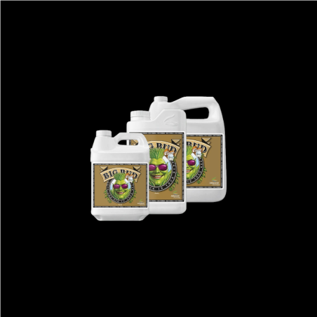 Advanced Nutrients Big Bud Coco