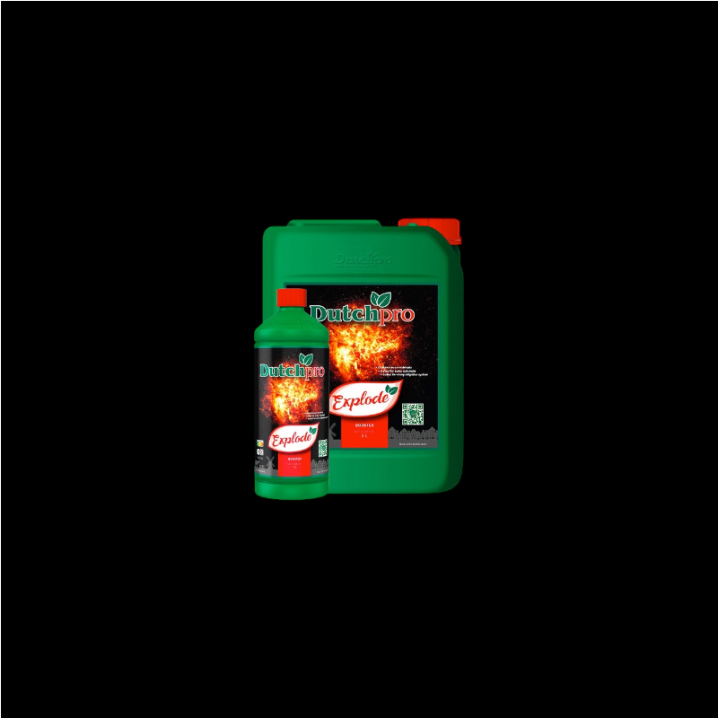 DutchPro Explode