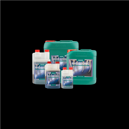 Canna Rhizotonic