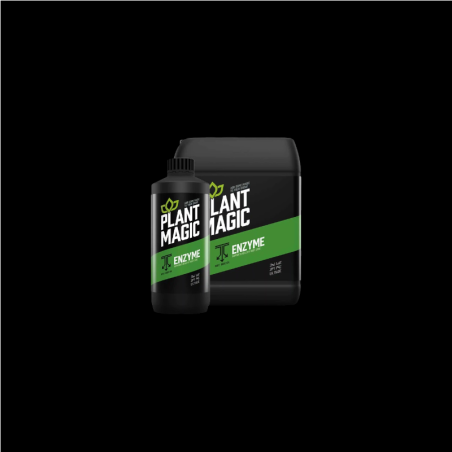 Plant Magic Enzyme